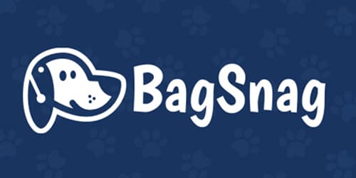 bag snag logo