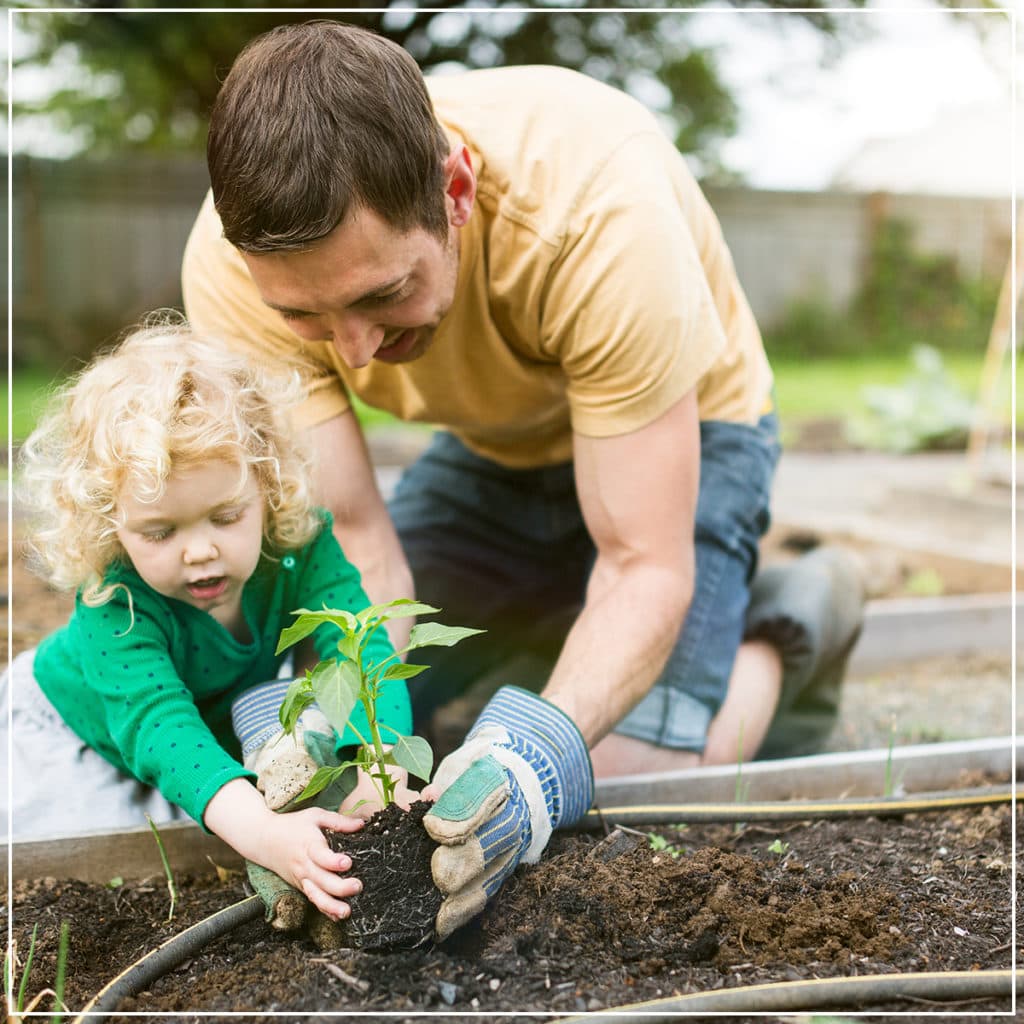 dad and child planting tree