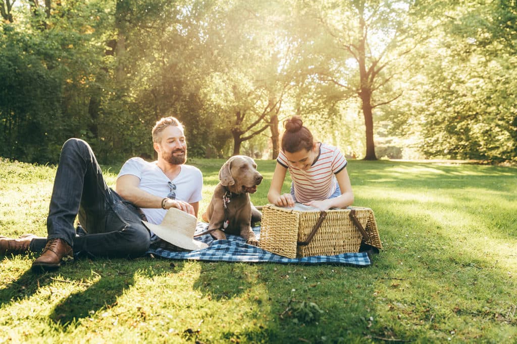 couple eating on lawn lifestyle photo