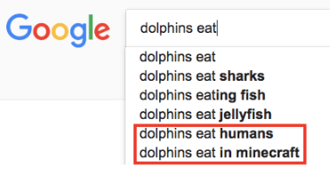 what do dolphins eat?