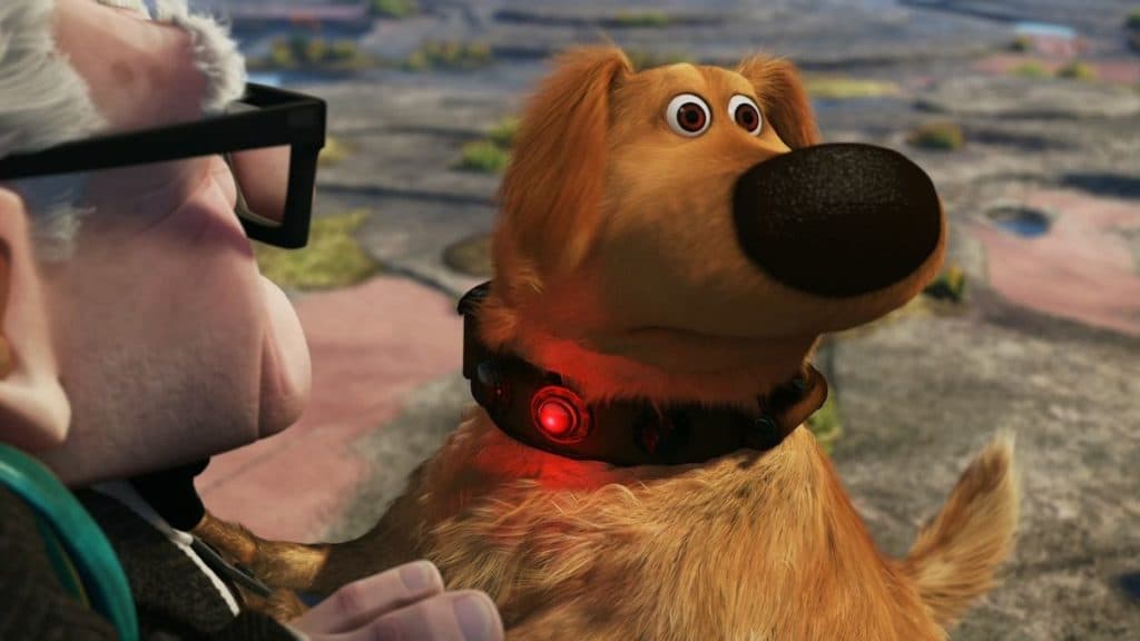 dog from up