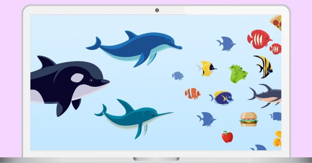 dolphine background on laptop