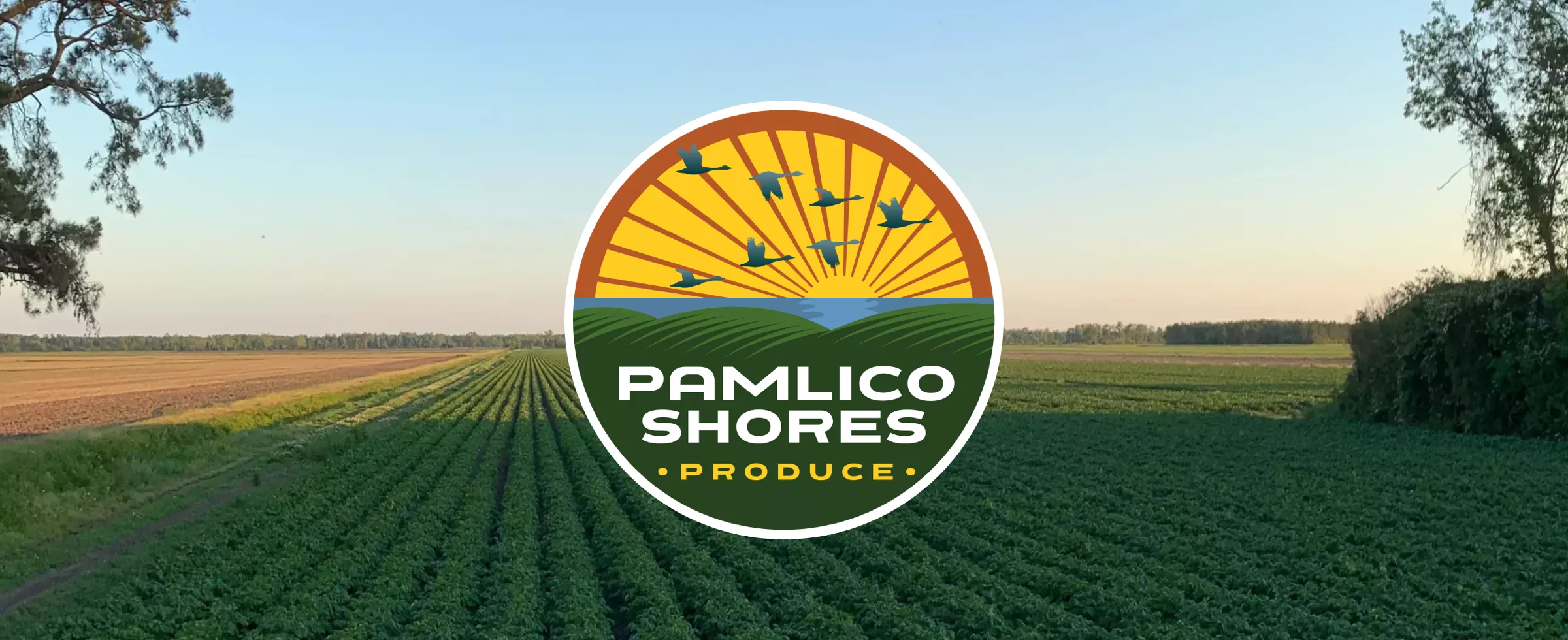 Pamlico Shores Produce logo